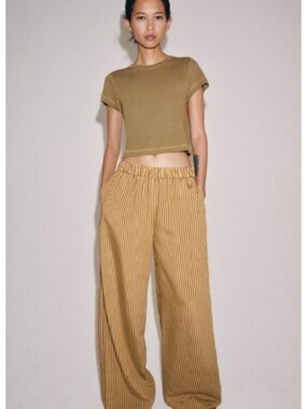 Zara NWT Mustard and Brown Striped Wide-Leg Pants